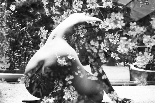 Katevmodel / Kate Victoria / katevictoria / katevictoriaa / pvckofthelitter Nude Leaks OnlyFans Photo 14