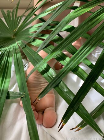 kattcrazy / crazykitten69 / katkrazymusic Nude Leaks OnlyFans Photo 11