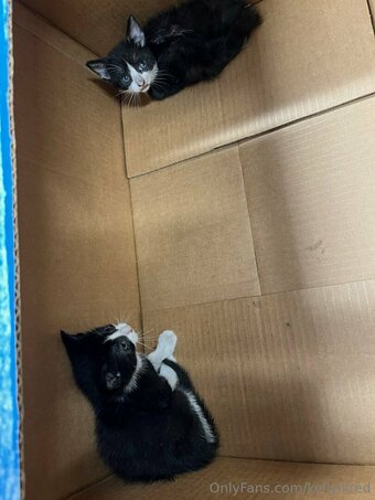 kellylilred Nude Leaks Photo 6