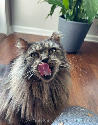 kiaraskyefree Nude Leaks Photo 26