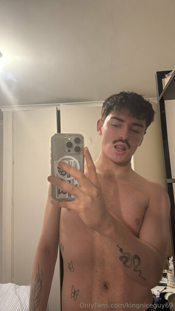 kingniceguy69 Nude Leaks Photo 1