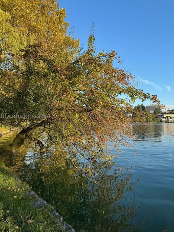 kitsunka Nude Leaks Photo 4