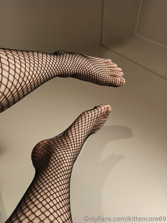 kittencore69 kittencore69