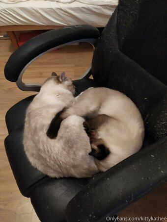 kittykathee Nude Leaks Photo 3
