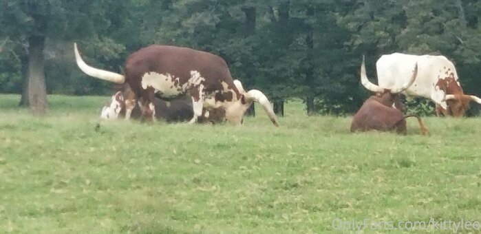 kittylee Nude Leaks Photo 29