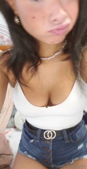 Kococat / koocat_ Nude Leaks OnlyFans Photo 12