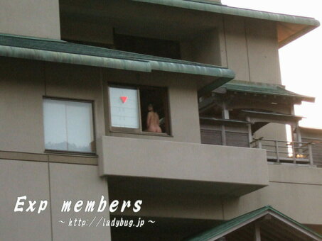 Ladybug.jp Nude Leaks Photo 5