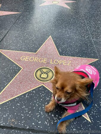 laughinglatina Nude Leaks Photo 18