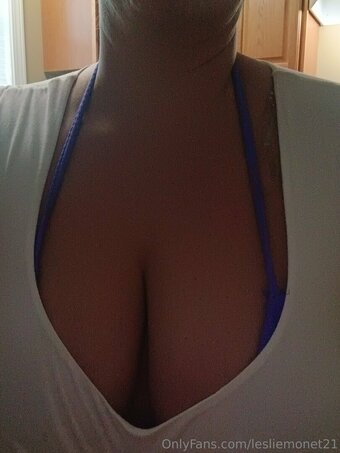 lesliemonet21 Nude Leaks Photo 14
