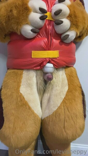 levisheppy Nude Leaks Photo 10