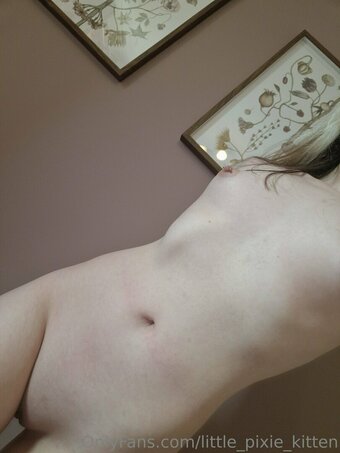 Little Pixie Kitten / lilpixiekitte / lilpixiekitten / little_pixie_kitten / littlepixiekitten_ Nude Leaks OnlyFans Photo 8