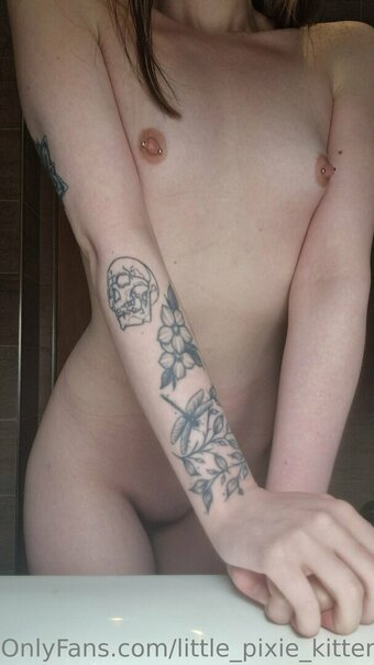 Little Pixie Kitten / lilpixiekitte / lilpixiekitten / little_pixie_kitten / littlepixiekitten_ Nude Leaks OnlyFans Photo 9