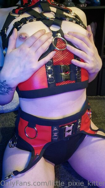 Little Pixie Kitten / lilpixiekitte / lilpixiekitten / little_pixie_kitten / littlepixiekitten_ Nude Leaks OnlyFans Photo 12