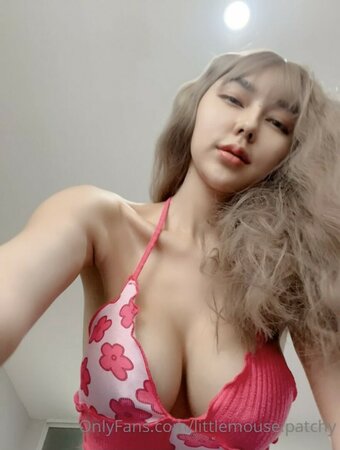 Littlemouse Patchy / Khammoungkhoun / Phatsaphorn / littlemouse.patchy / littlemousepat1 Nude Leaks OnlyFans Photo 89