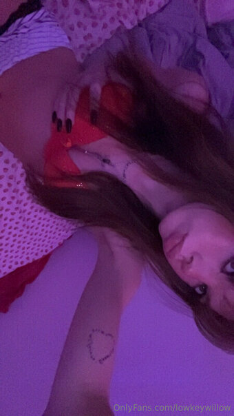 lowkeywillow Nude Leaks OnlyFans Photo 3