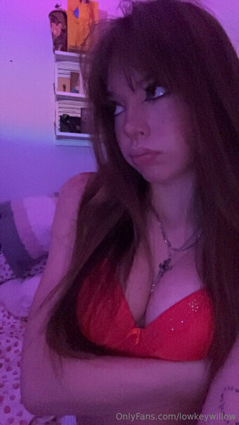 lowkeywillow Nude Leaks OnlyFans Photo 4