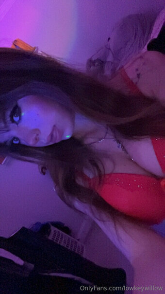 lowkeywillow Nude Leaks OnlyFans Photo 5