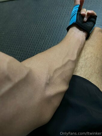 ltwinker Nude Leaks Photo 19