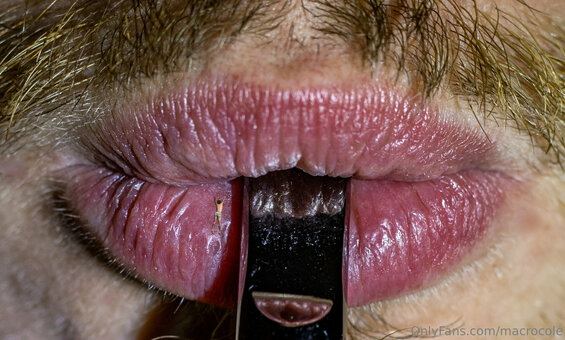 macrocole Nude Leaks Photo 6