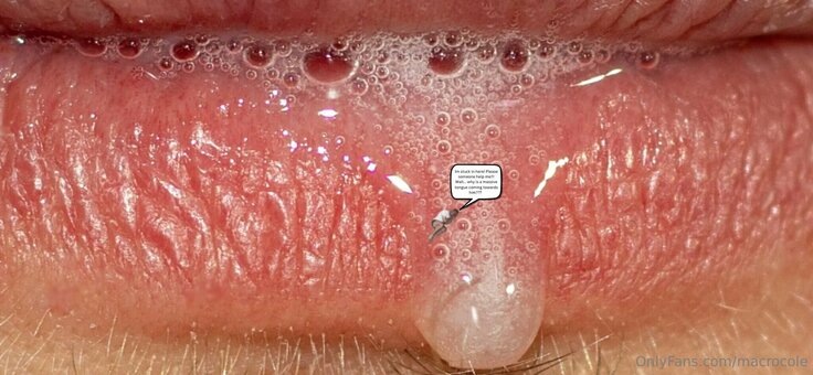 macrocole Nude Leaks Photo 18