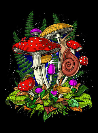 Magicmushroom Nude Leaks Photo 4