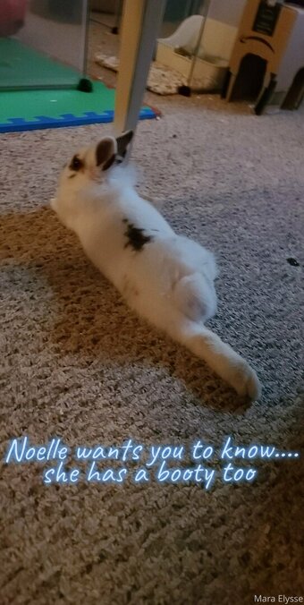 mara_elysse Nude Leaks Photo 21