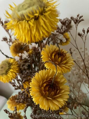 margofieldsx Nude Leaks Photo 2