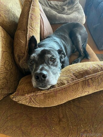 marlasinger Nude Leaks Photo 25