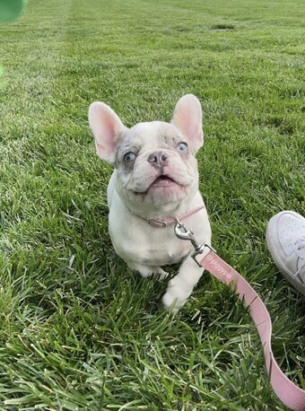 melipsi / melipsi1 Nude Leaks Photo 15