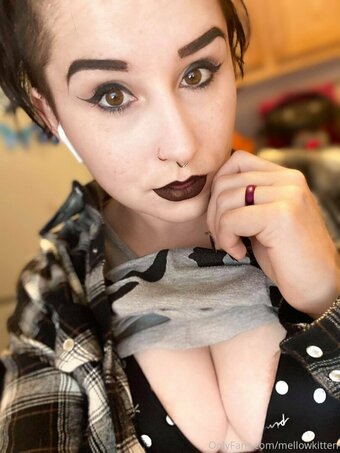 mellowkittenof / Mellow Cat / mellow__x__cat / mellowkitten Nude Leaks OnlyFans Photo 10
