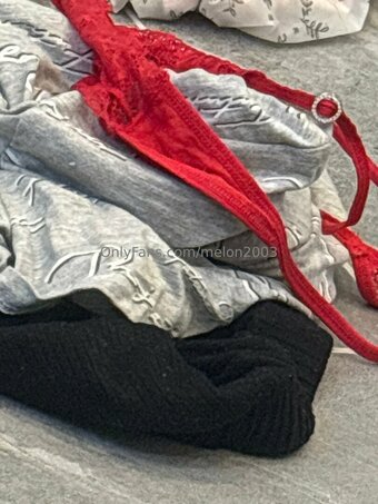 melon2003 Nude Leaks Photo 1