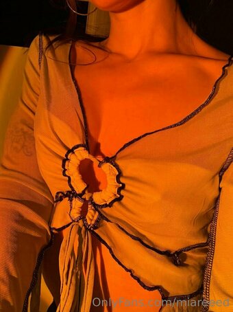 miareeed / miareed Nude Leaks OnlyFans Photo 29