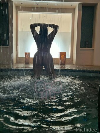 michidee_ Nude Leaks OnlyFans Photo 23