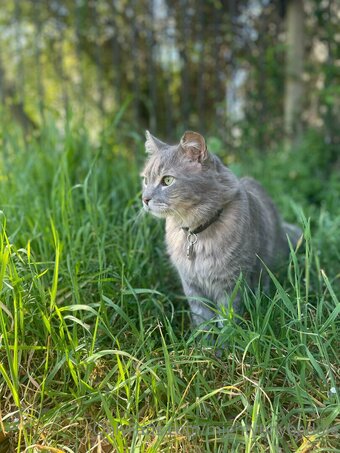 mightytinybaddie Nude Leaks Photo 6