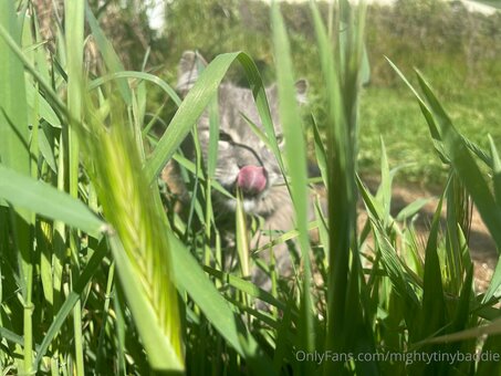 mightytinybaddie Nude Leaks Photo 7