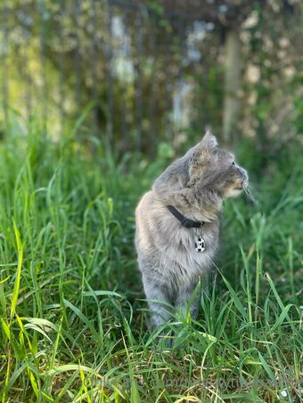 mightytinybaddie Nude Leaks Photo 8