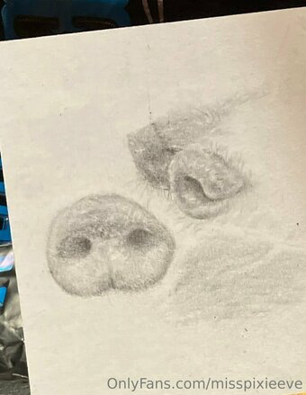 misspixieeve Nude Leaks Photo 29