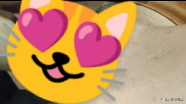 mizzbonez Nude Leaks Photo 23