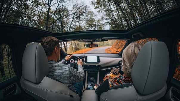 Moonroof Nude Leaks Photo 5