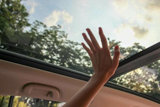 Moonroof Nude Leaks Photo 6