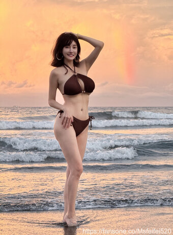 msfeifei520 Nude Leaks Photo 1