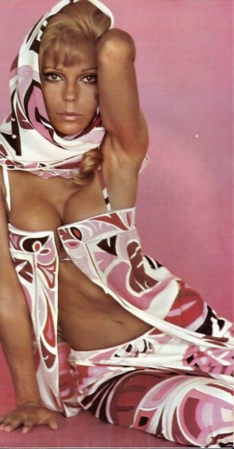 Nancy Sinatra / nancysinatra Nude Leaks Photo 8
