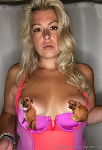 nattoolate Nude Leaks Photo 23