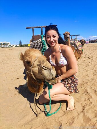 nilouqueen / complexbasil5782 / nilou.queen92 / sexyamalia66 / sexyamalia69 Nude Leaks OnlyFans Photo 23