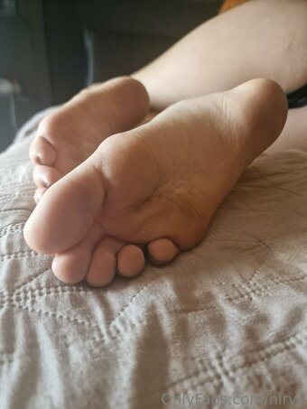 Nirvy / Sakurajima / nirvy_of Nude Leaks OnlyFans Photo 102