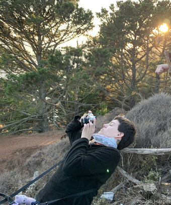 Novahharper / ItsNovahHarper Nude Leaks OnlyFans Photo 24