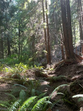 offgridamelia Nude Leaks Photo 13