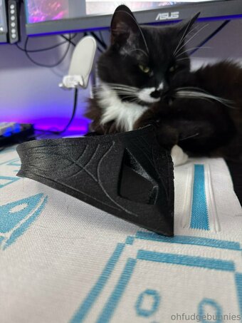 Ofudgebunni / Cornelius Thompson Nude Leaks Photo 53