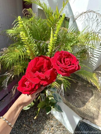 onlyrobertaduarte Nude Leaks Photo 24