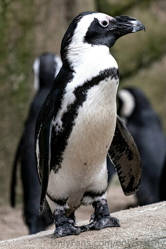 onlysmithy Nude Leaks Photo 4